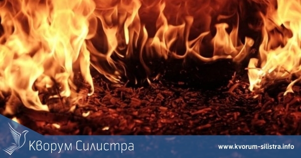 20 кайсиеви дръвчета изгоряха в пожар в силистренско село