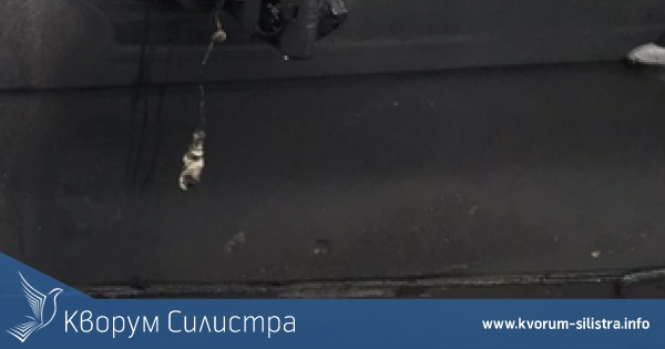Запален контейнер за смет стопи огледало на автомобил в Силистра