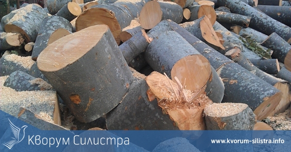 Откриха 9 кубика откраднати дърва в дуловско село