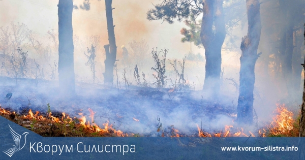 Пожар унищожи 220 декара гора в Кайнарджанско
