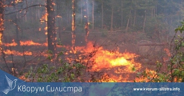 Още 40 декара гора изгоряха до кайнарджанското село Голеш