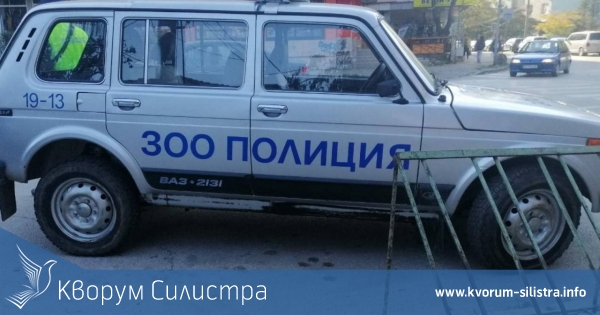 Полицията разследва убийство на куче в дуловско село