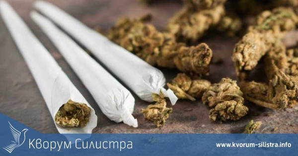 23-годишен е установен с наркотици в Силистра
