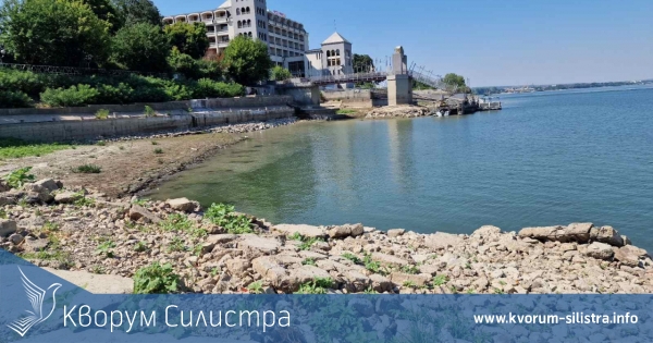 В Силистра подготвят традиционното преплуване на Дунав, ако остане вода в реката до 6 август