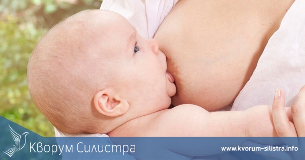 В Силистра тече Седмица на кърменето