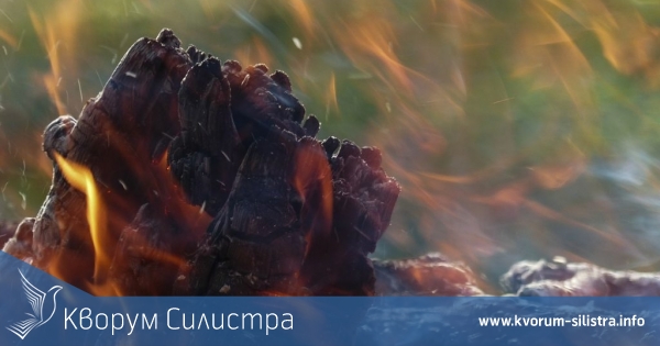 Огън унищожи овощна градина в Айдемир
