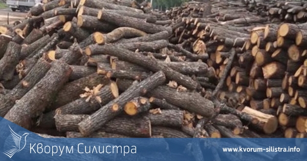 10 кубика открадната дървесина откриха в дуловско село