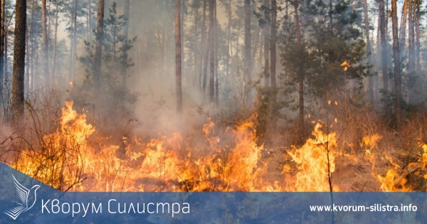 Един декар гора в знакова за силистренци местност изгоряха вчера
