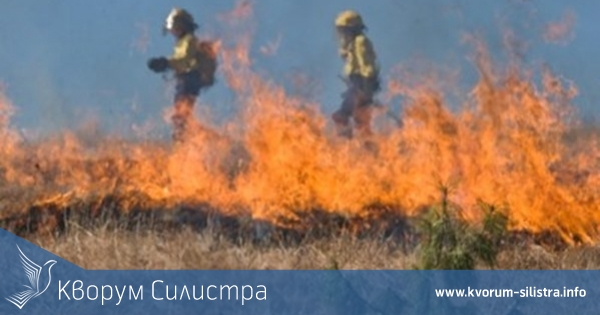 Пожарникари спасиха овощна градина и пчелин в Силистренско