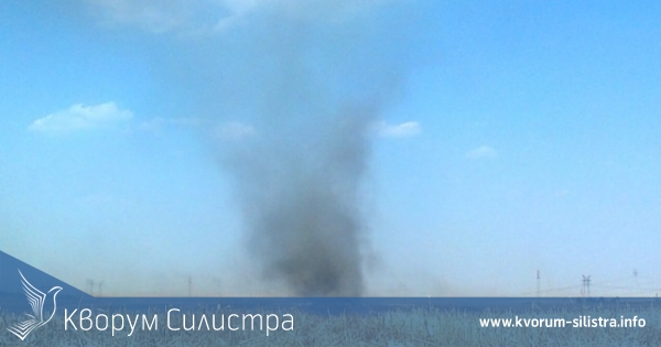 Пожар изпепели 20 декара с царевица в Силистренско