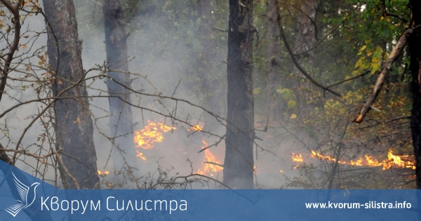 86 декара гора изгоряха в Дуловско
