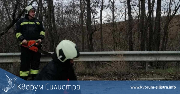 Силистренските пожарникари отводняваха асансьор и премахваха паднало дърво