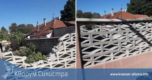 Общинско предприятие в Силистра възстанови ограда върху която беше паднало дърво