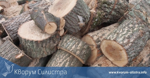 4 кубика незаконна дървесина откриха в Дулово