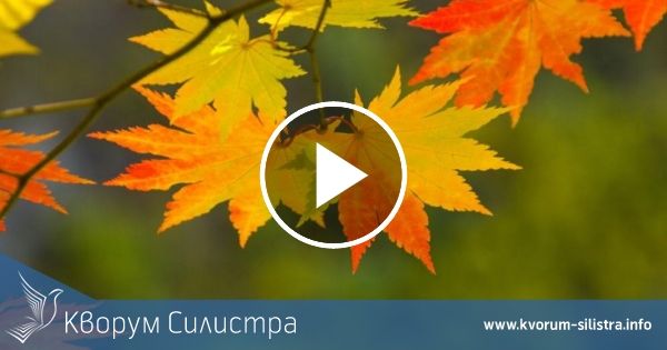 Слънчев четвъртък в Силистренско
