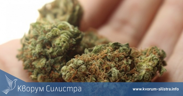 В Силистра арестуваха 28-годишен с наркотици