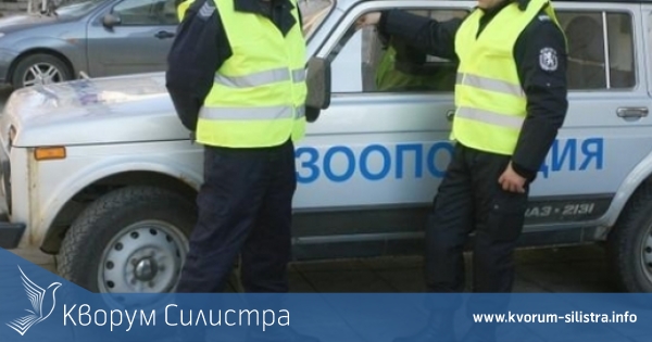 Полицията разследва смъртта на куче в частен дом в Силистра