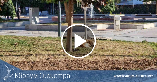 Слънчев вторник в Силистренско