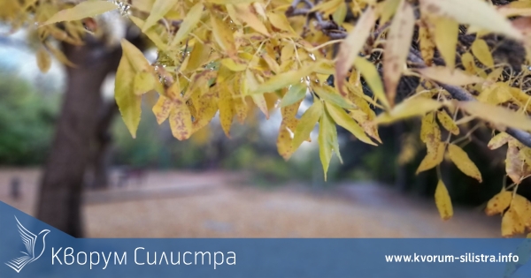 Слънчева събота в Силистренско