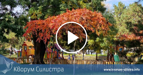 По-малко горещ и облачен четвъртък в Силистренско