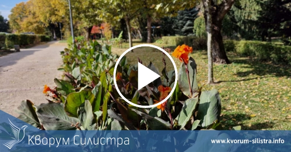 Остава топло и в петък в Силистренско