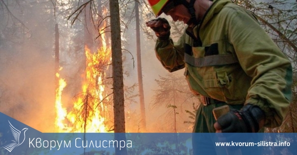 Пожар на сечище изпепели 12 куб.м дърва за огрев