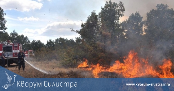 Сухи треви горяха до село Бабук