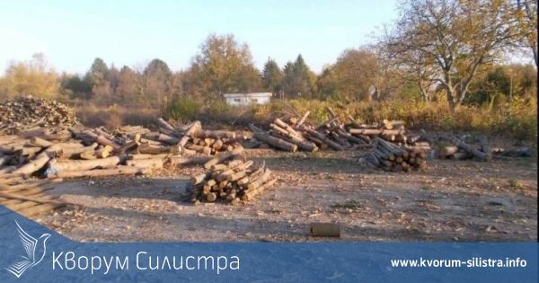 Стана ясно къде е заловено най-голямото количество незаконна дървесина в Силистренско