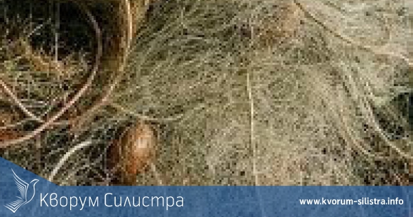 100 метра бракониерска мрежа конфискуваха на язовир "Антимово"