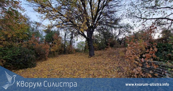 Топла събота в Силистренско