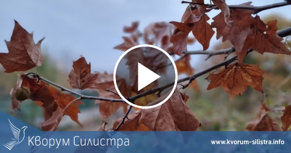 Облачeн и хладен понеделник в Силистренско