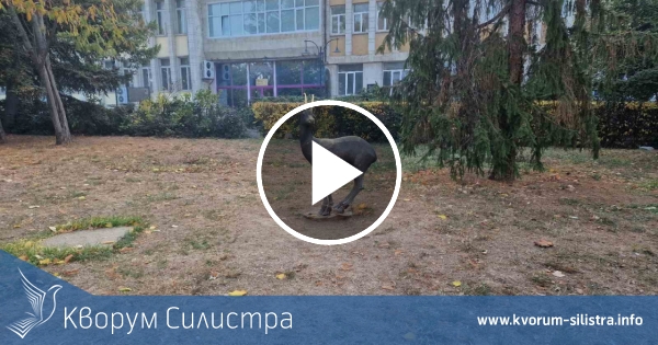 Слънчев със сутрешни мъгли четвъртък в Силистренско