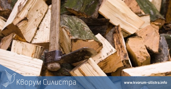 Откриха 12 кубика незаконни дърва в два частни имота в дуловско село