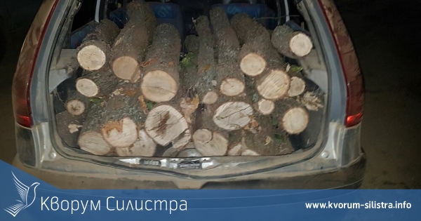 Предотвратиха незаконна сеч в Силистренско