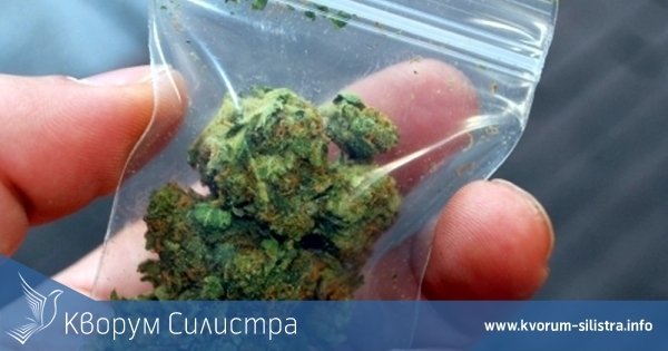 58-годишен силистренец с 24-часов арест за канабис