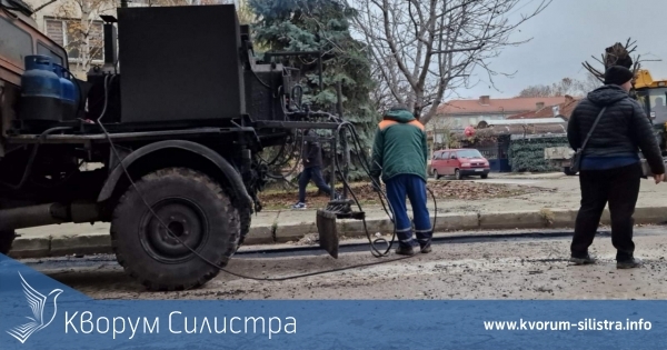 Свободни работни места в област Силистра