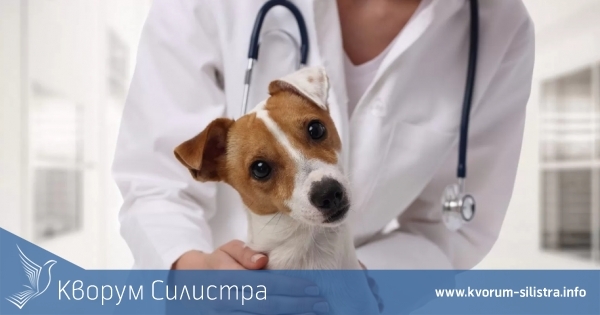 60 ветеринарни специалисти ще отбележат в Силистренско 14 декември като професионален празник