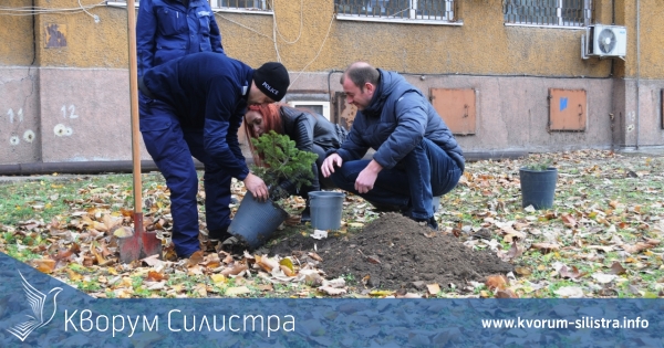 Засадиха три елхички до районното полицейското управление в Силистра