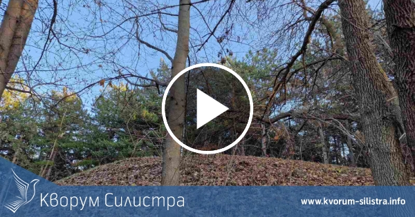 Слънчев понеделник в Силистренско