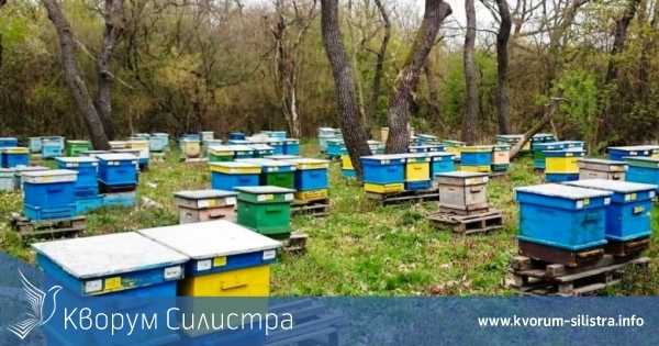 Крадат пчелни кошери в съседна на Силистра област