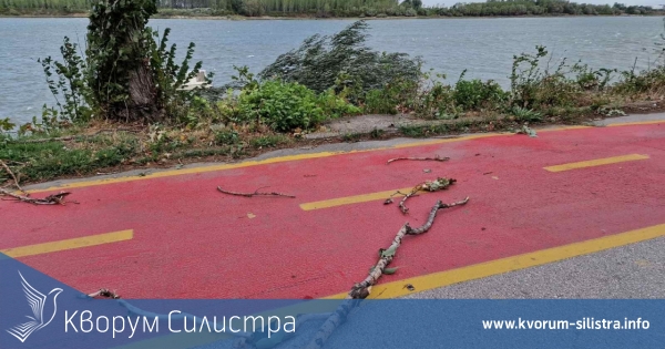 И утре жълт код за силен вятър в Силистренско