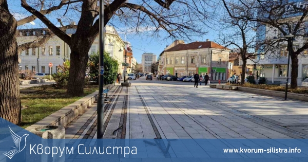 Жълт код за силен южен вятър - фьон в Силистренско