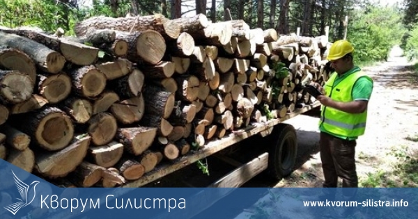 До 10 кубика дърва за домакинство през зимата