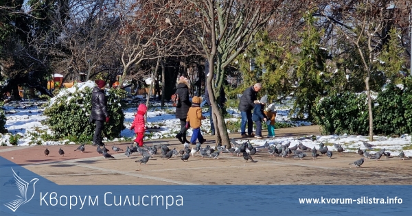 Вижте колко ще ви глобят, ако храните бездомни животни в съседния на Силистра град Кълъраш