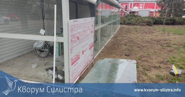 Община Силистра: На записите се вижда извършителят и е осведомена полицията