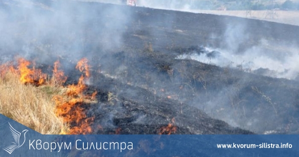 Два пожара горяха в сухи треви в Силистренско