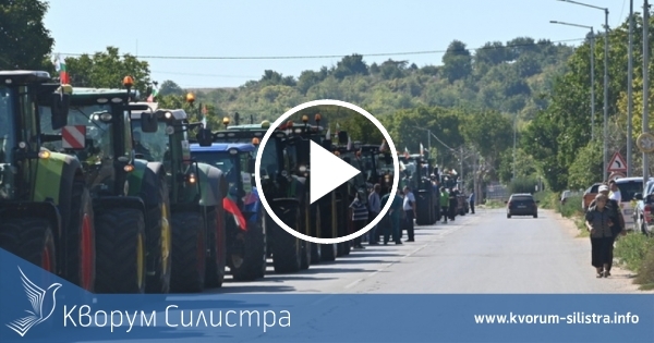 Зърнопроизводители излизат днес на протест в Силистра