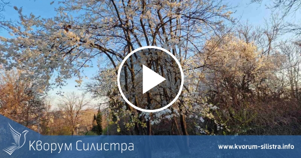 Времето в Силистренско на Цветница