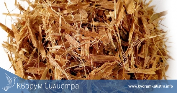 Нов хит при бракониерите - кора от мъждрян