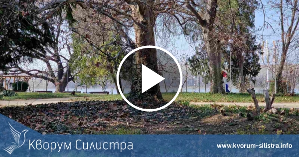 Без валежи в петък в Силистренско